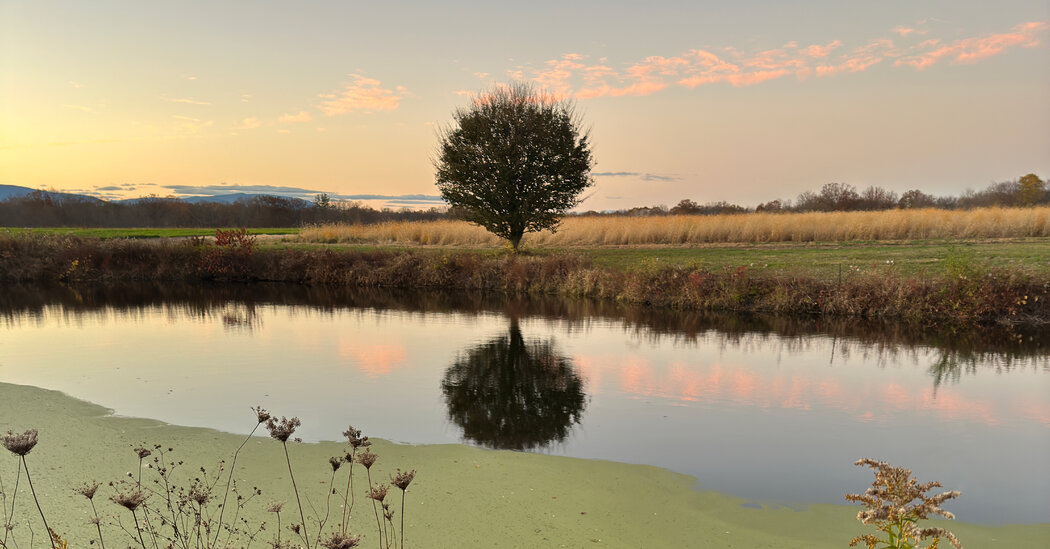 Navigating Grief: A Toolkit for Comfort