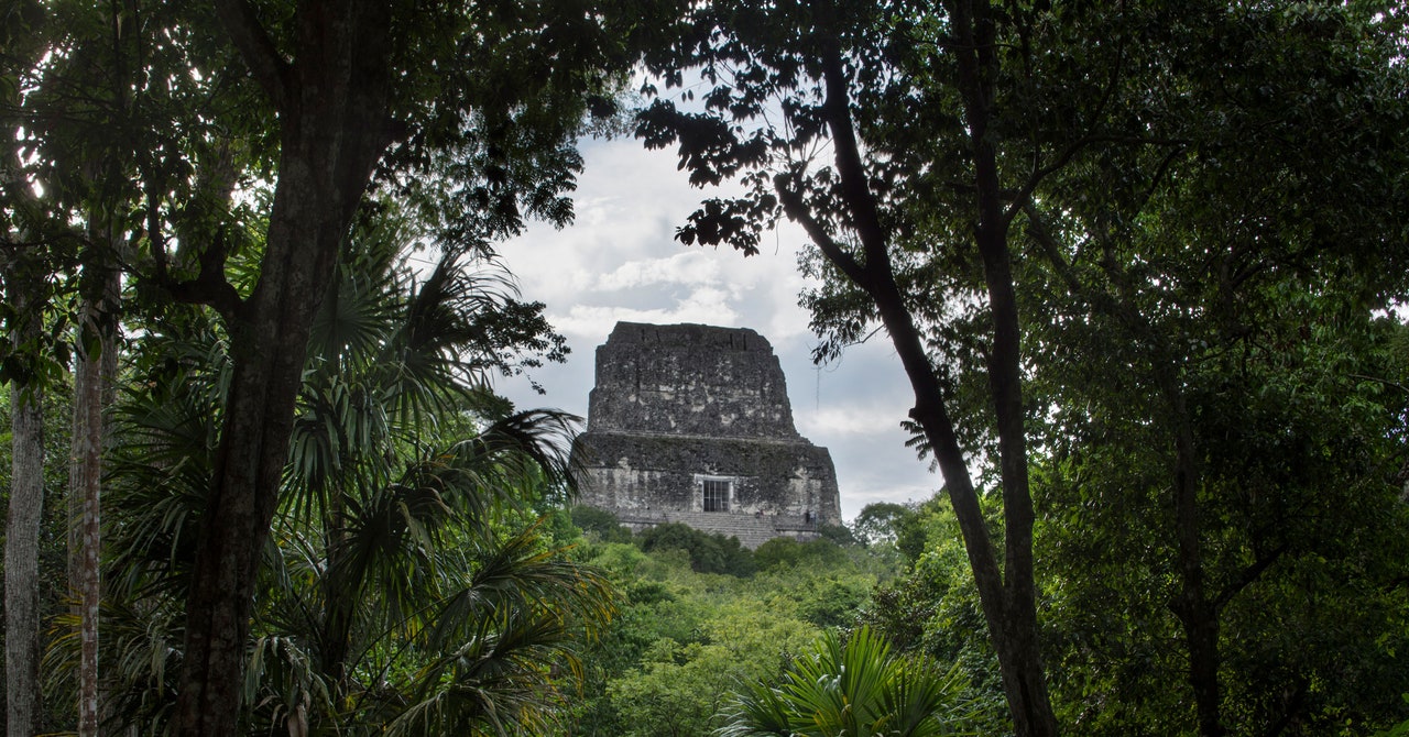 Remote Discovery of a Hidden Mayan Metropolis
