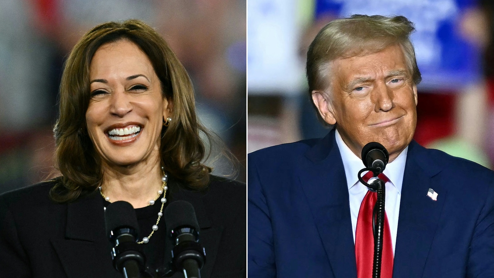 The Global Perspective: Foreign Policy in the 2024 U.S. Election