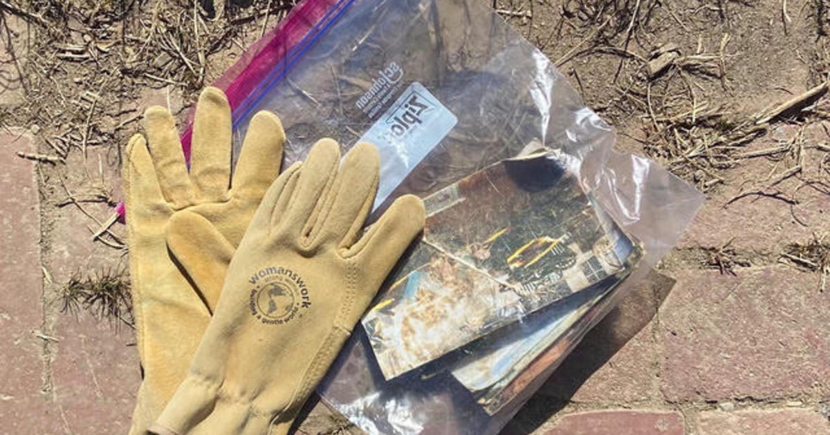 The Uplift: Photos from Helene