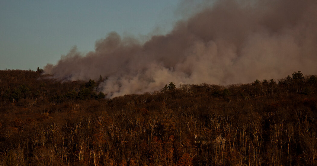 Tragedy Strikes: New York Parks Worker Dies Combating Wildfire