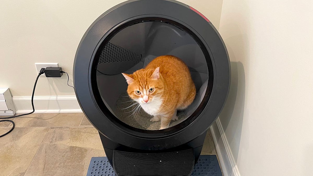 Revolutionary Self-Cleaning Litter Box Still on Sale!