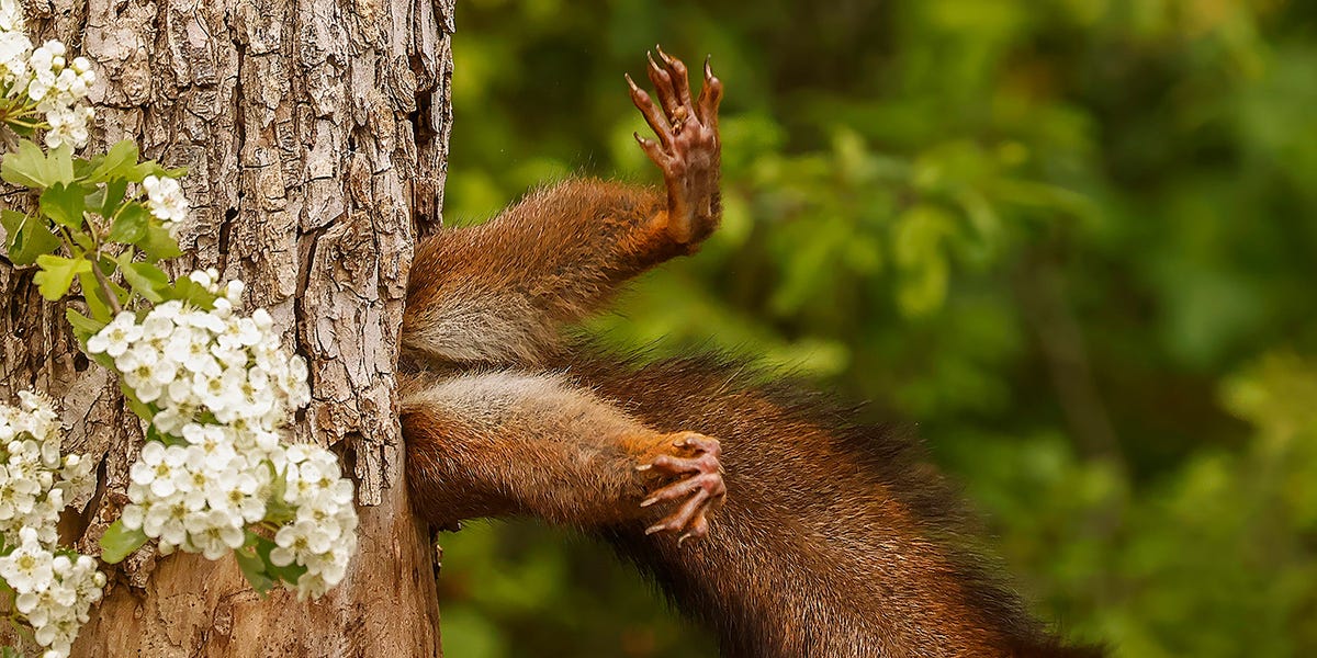 The Most Hilarious Wildlife Photos of the Year