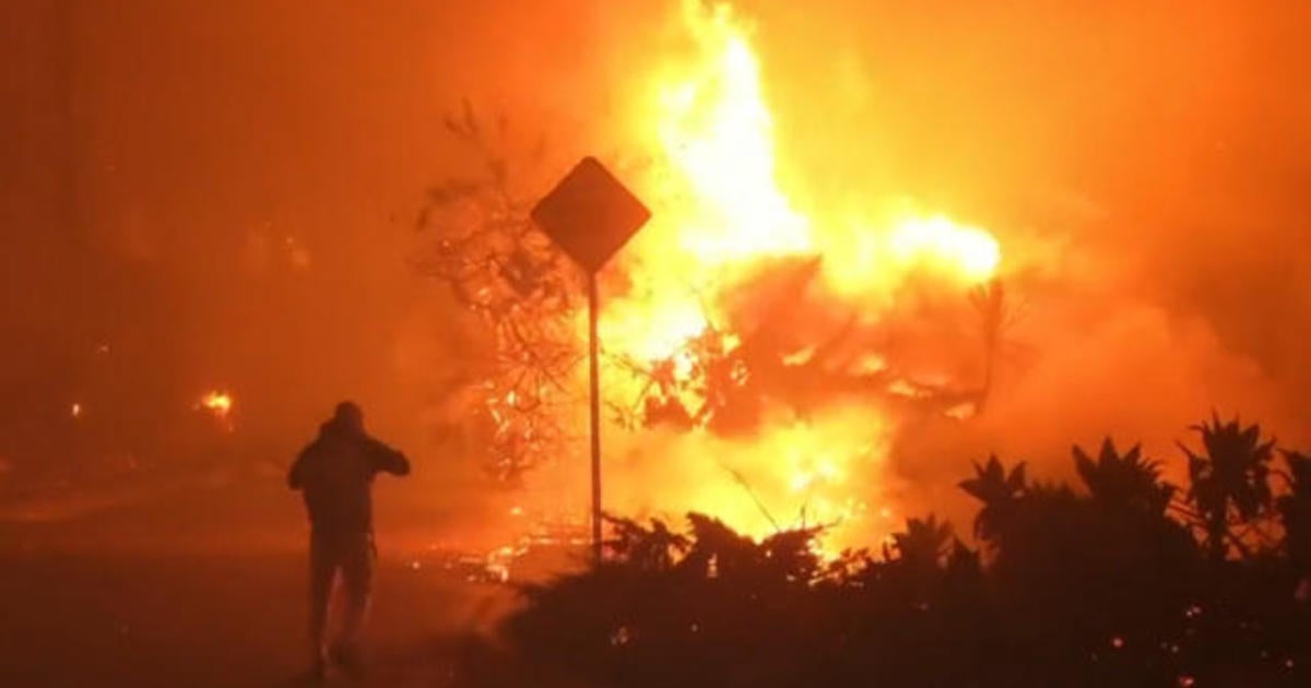 Daily Highlights: January 8