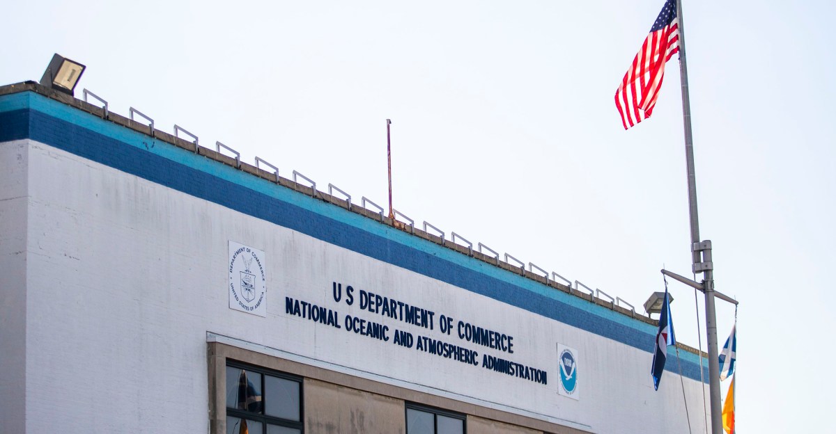 Are Weather Forecasts Really Vital?