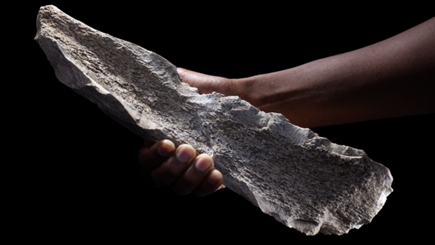 Ancient Use of Bone Tools by Early Humans Revealed Through New Study