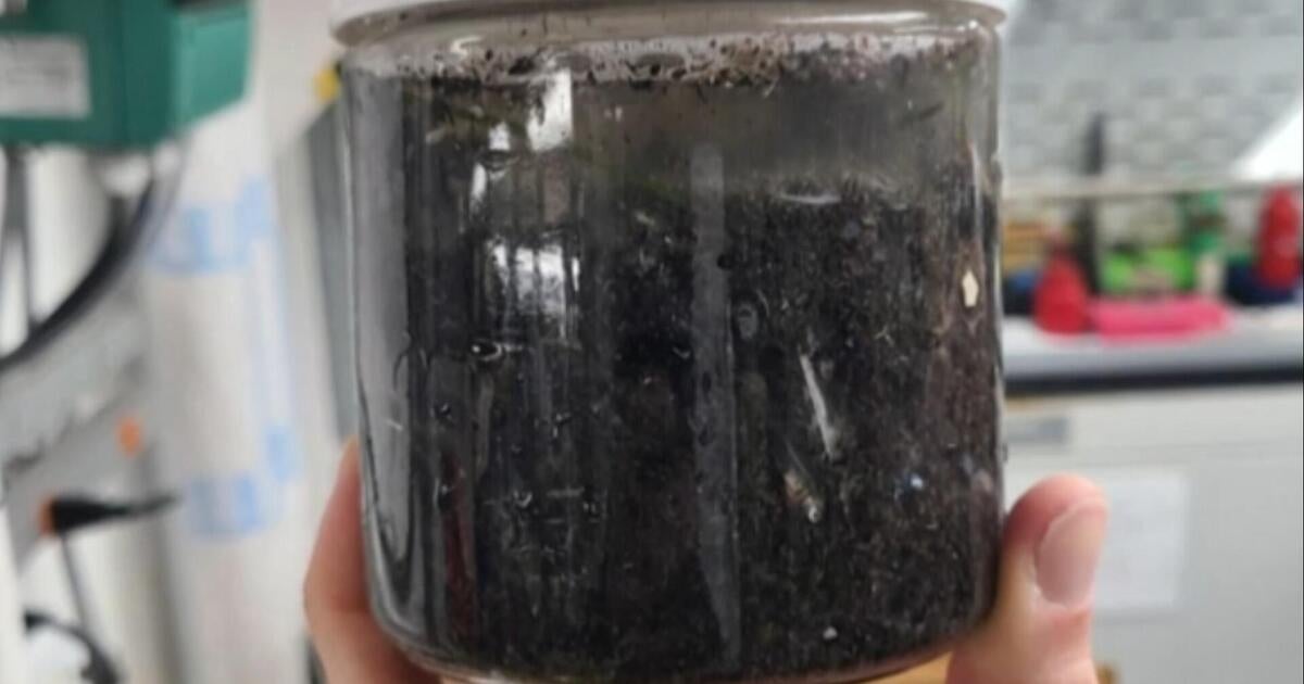 Impact of Toxic Ash From Los Angeles Wildfires on Marine Ecosystems