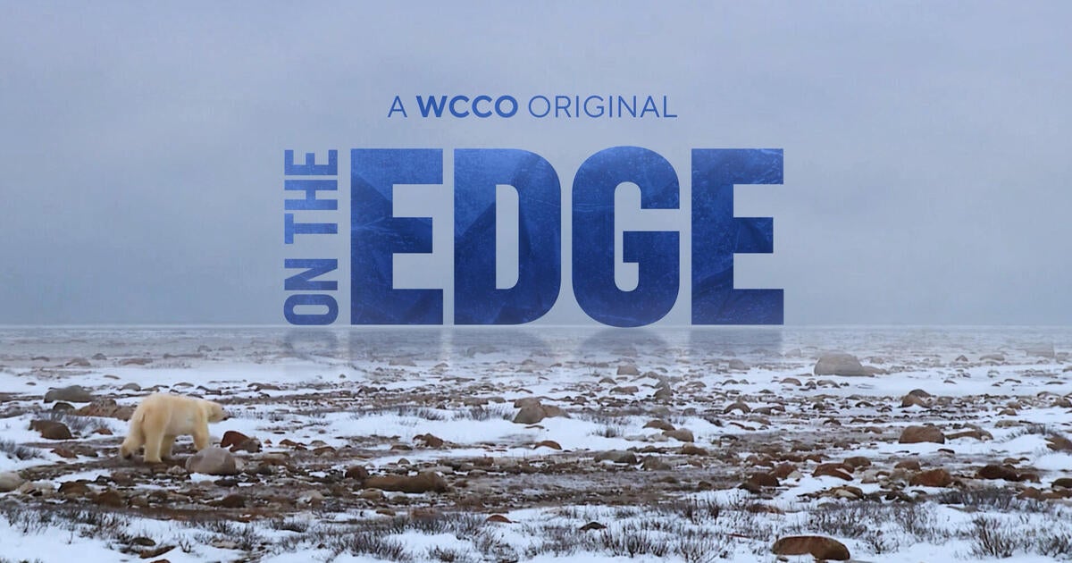 The Threatened Survival of Canada’s Polar Bears and Conservation Efforts