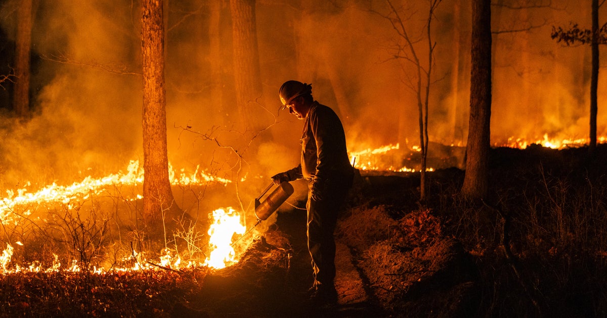 Trump Ensures Compensation Boost for Wildland Firefighters Amid Government Workforce Reductions