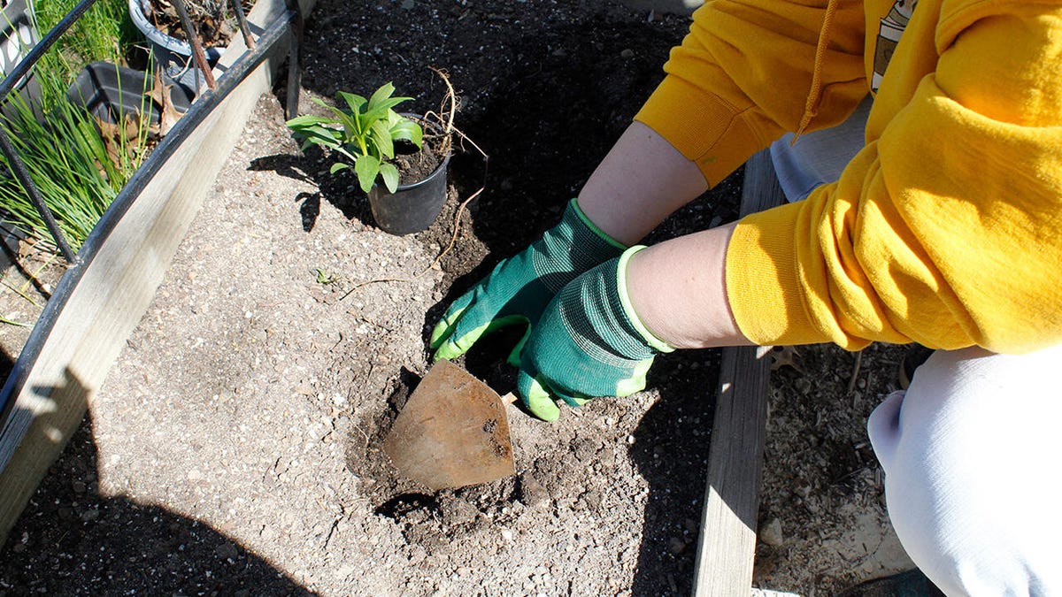 Essential Gardening Tools from a Farming Veteran