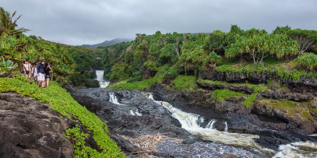 Growing Up in Maui: Top 5 Gems for Tourists and 5 Activities to Approach with Caution