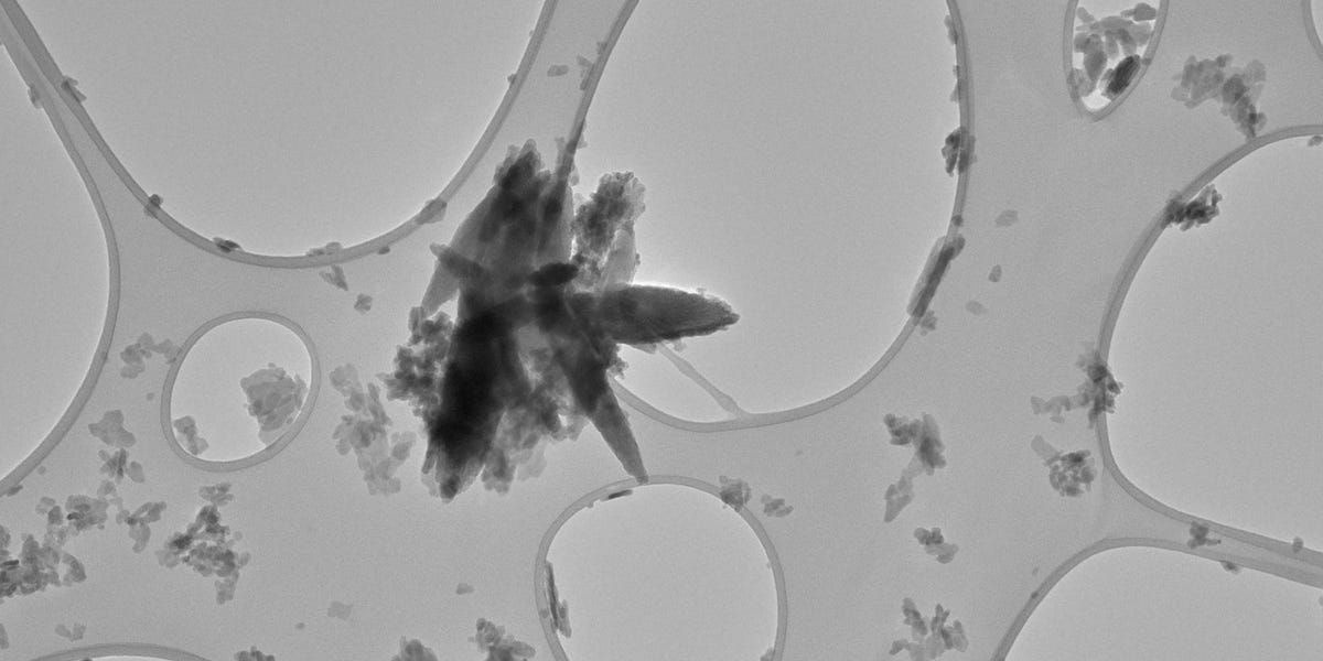 Research Reveals Elevated Microplastics in Stroke Patients’ Arterial Plaque