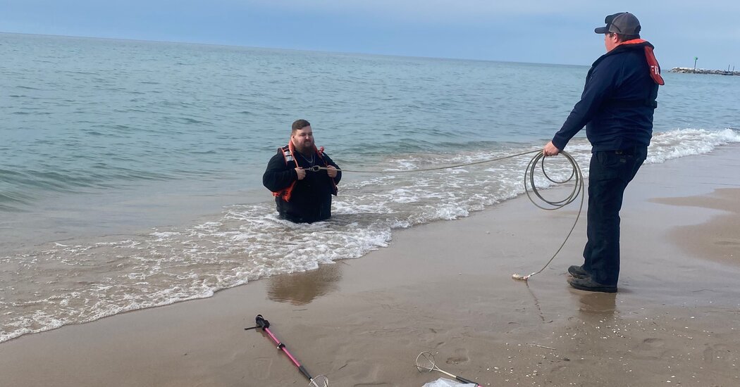 Trapped in Sand, Finds Love Instead