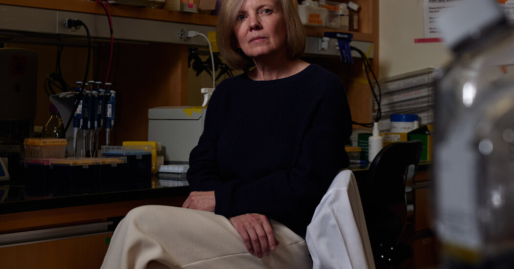 Trump’s Funding Cuts Impact Harvard’s Tuberculosis Research