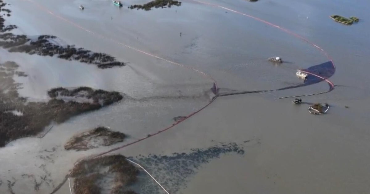 Consequences of DOGE Job Reductions on Oil Spill Cleanup in Louisiana