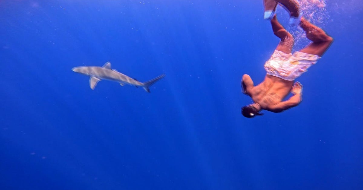 Nate Burleson Embraces Shark Encounter Without a Cage