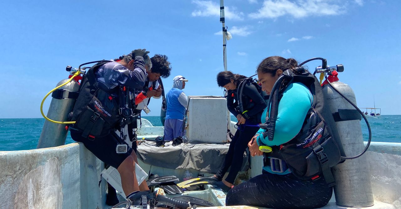 The Struggle Against Illegal Fishing in Mexico’s Marine Refuges