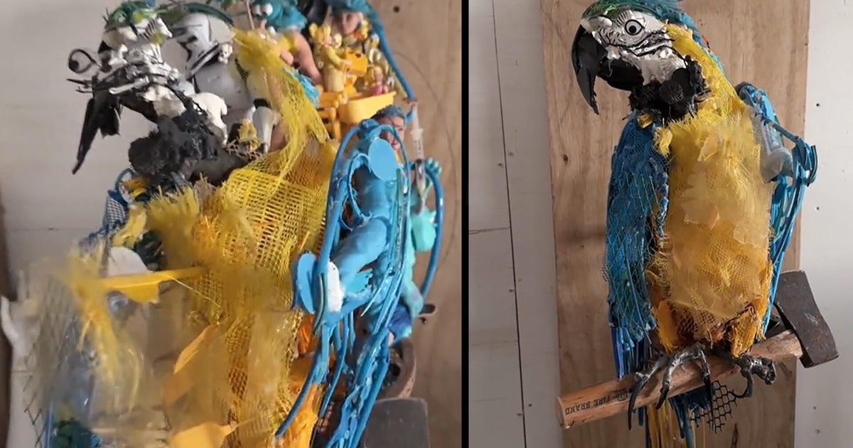 Transforming Discarded Items into Art