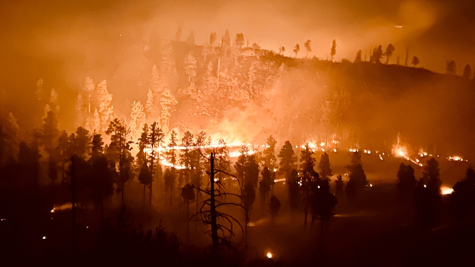 Wildfire Rages Across Eastern Arizona, Expands to 20,000 Acres