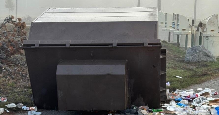 Yellowstone Grizzly Bear Euthanized After Dumpster Ransacking